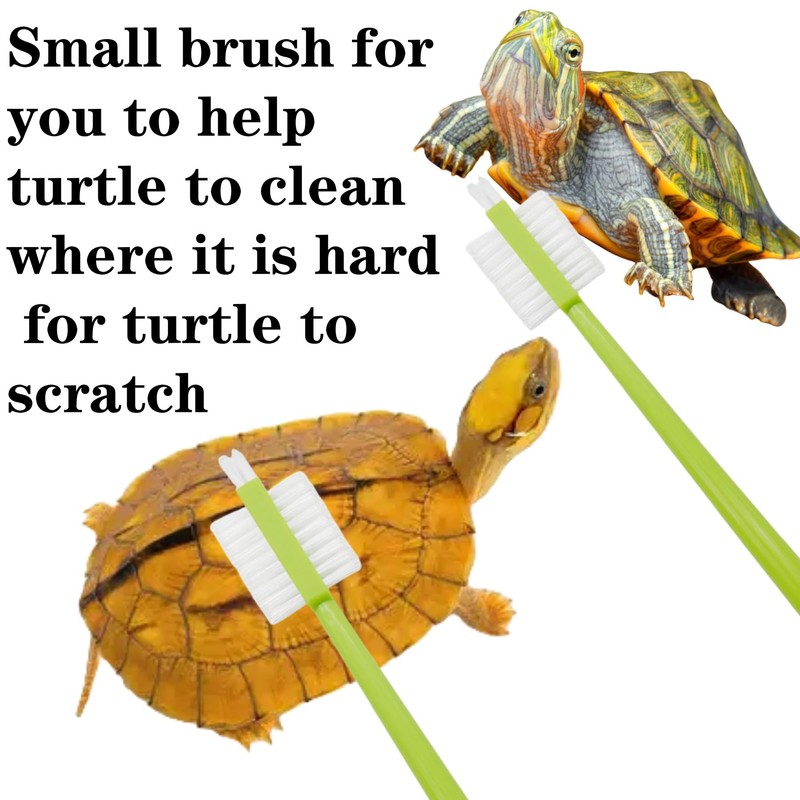 Turtle Brush with Strong Suction Cup,Turtle Back Clean Brush to