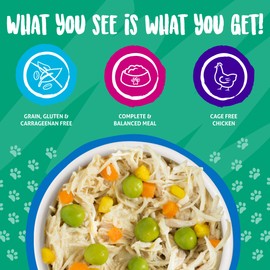 Weruva Grain-Free Canned Dog Food