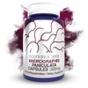 Nootropics Depot Andrographis paniculata Capsules | 200mg | 60 Count