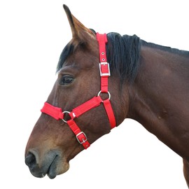 NIUTRIP Horse Halter with Wool Lining, Adjustable Halter for Horses Satin Hardware to Prevent Friction, Breakaway Halters for Horses,Perfect for Traction and Performance