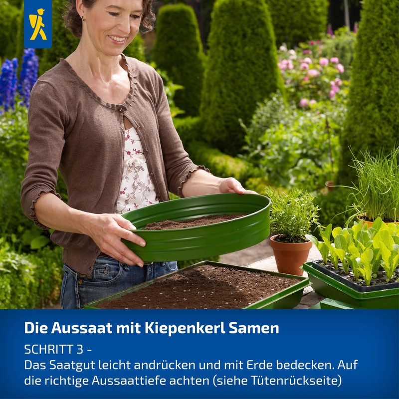 Kiepenkerl Steviasamen Honigkraut 105805