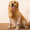 Dog Front Leg Joint Protector Sleeve,Elbow Sleeves with Mesh Pad