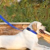 PenSeepet Dog Leash 6 FT Padded Handle Nylon Reflective Dogs