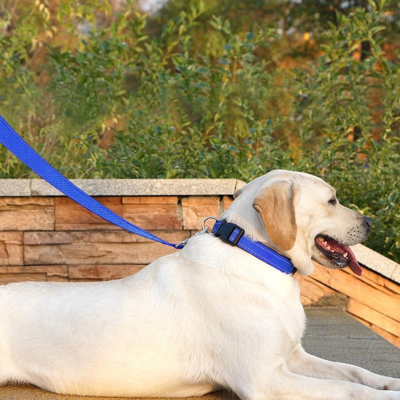 PenSeepet Dog Leash 6 FT Padded Handle Nylon Reflective Dogs