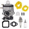 Mikatesi 308054121 RY25AXB Carburetor Kit Compatible with For Ryobi RY25AXB