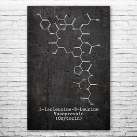 Oxytocin Molecule Poster Print, Love Hormone, Oxytocin Art, Biologist Gift, Professor Gift, Neurochemistry Art Dark Concrete (20 inch x 24 inch)