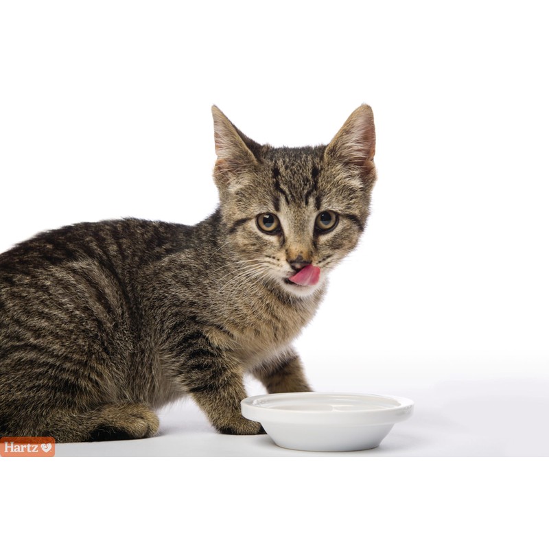 Hartz Hairball Remedy Plus Salmon Flavored Paste for Cats and