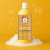 Shampoo Capilar Miel & Castaña De Brasil Anti Frizz 1l