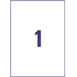 AVERY Zweckform Protection & Security Labels Weatherproof 210 x 297 mm, White