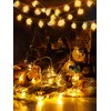 ANPHSIN Ramadan Eid String Light- 9.8ft 20LEDs Eid Moon Star