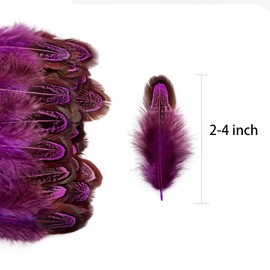 100 pcsHappy Feather Natural Pheasant Plumage Feathers 2-3 Inches Plumage Feathers for Sewing Crafts Clothing Decorating Accessories -Purple