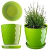 Kadax Decorative Flower Pot, for Flowers and Plants, with bottom