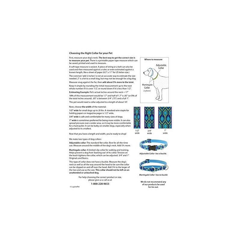 Martingale Dog Collar by Lupine 3/4" wide El Paso design