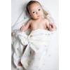 Lulujo Baby 100% Cotton Muslin Swaddle Blanket, 47 x 47-Inches,