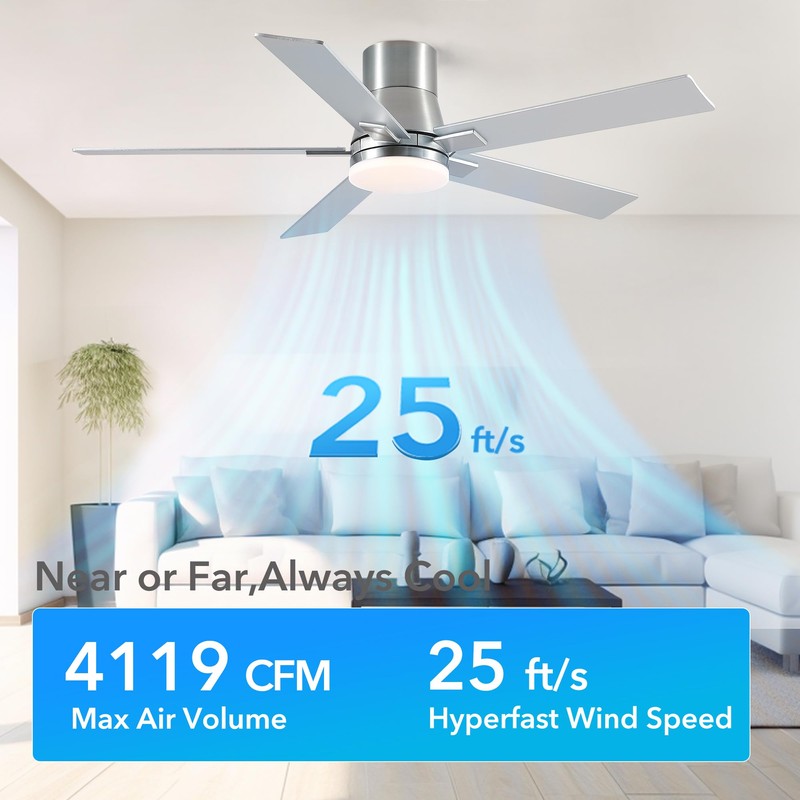 Rayqueen 52 Inch Ceiling Fans with Lights and Remote,Flush Mount