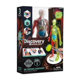 discovery mindblown - Human Anatomy Kit Glow In The Dark - Teaching Resources, Human Body Model For Kids, Anatomy Kids, Human Body Science Kit, Kids Science, for Kids - 28 pcs