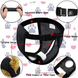 LeerKing Pack of 2 Mesh Heat Pants for Female Dogs, Washable Heat Pants with 6 Inserts, Female Dogs, Dog Nappies, Black, L