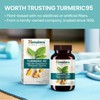 Himalaya Turmeric 95 Supplement with Curcumin/Curcuminoids,Supports Immune System, Resistance to
