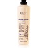 NATURAL BEAUTY CARE Placent Remedy Shampoo para Cabello Dañado 300