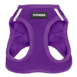 Voyager Step-In Air Dog Harness - All Weather Mesh Dog Harness for Small and Medium Dogs by Best Pet Supplies - Purple (Matching Border), Small (Chest 14.5-17") (207T-PPW-S )