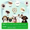 Immal Flea and Tick Prevention for Dogs Chewable, 150 Chews