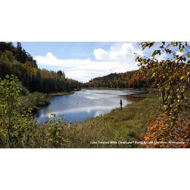 Clearlake Pond and Lake Clarifier 4lb