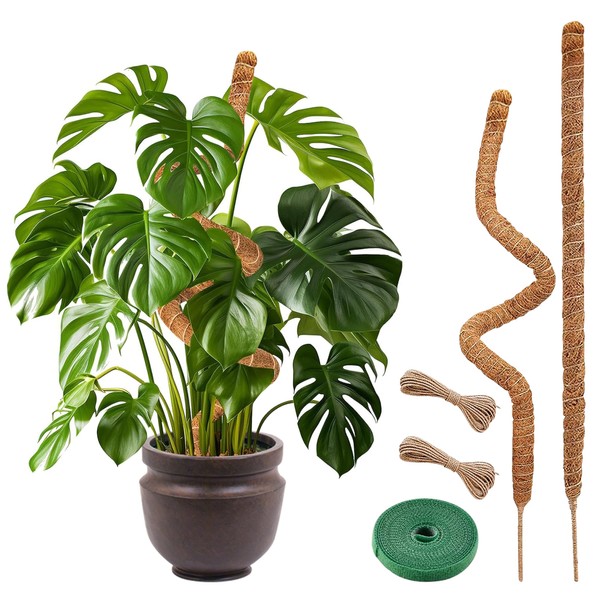 MEGA FORMAT Mega Format Bendable Moss Pole for Plants, Monstera