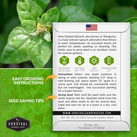 New Zealand Spinach Seeds for Planting | Heat Tolerant Summer Green (Tetragonia), Cut-and-Come-Again Greens for Gardens, Raised Beds, Containers - Survival Garden Seeds (1 Pack)