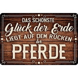 30 x 20 cm - Weatherproof Horse Sign, Horse Decorative Sign, Funny Saying for Horse Owners (The Most Beautiful Happiness on Earth is on the Back of the Horses)