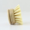 Biome Dish Brush Replacement Head