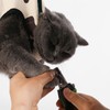 Cat Care, Nail Clippers, Prevents Scratches and Bites, Fixing Bag,