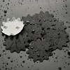 Dazefree 2 Inch Sanding Discs 50Pcs, 800 Grit Sandpaper, Wet