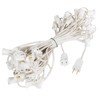 Novelty Lights 50 Foot String Light Set - Indoor/Outdoor Stringer