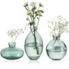 ATDORO 3 Pcs Mini Bud Vases, Clear Bud Vases for