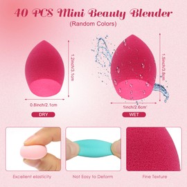 Coitak 50 PCS Mini Beauty Blender Set, 40 PCS Beauty Blender Sponge Professional Makeup Sponges+10 PCS Finger Powder Puff, Super Soft Facial Makeup Tools for Foundation Powder, Random Color