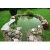 Swell UK Green Pond Water Control 6 Sachets - BOGOF