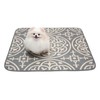 Paw Inspired Designer Dog Pads (2 Pack) | Premium Washable
