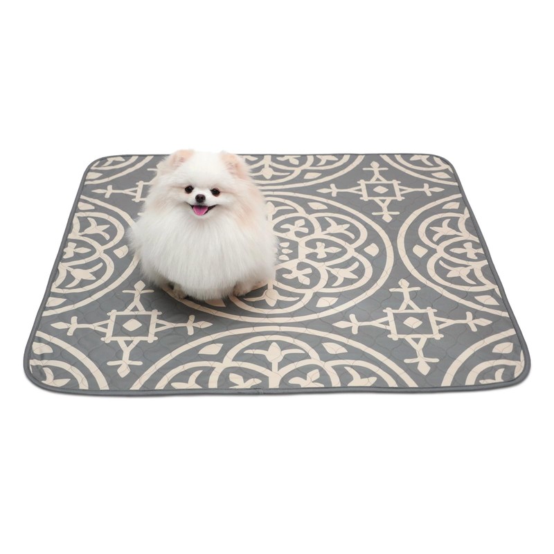 Paw Inspired Designer Dog Pads (2 Pack) | Premium Washable