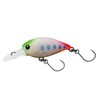 TIEMCO Timco Deep Crappie C&R #002 Hazakura Miso Mold