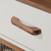 AENZOOY 6 Pack Walnut Wood 3.78 Inch (96 mm) Wood