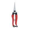 Takagi Sunflower Factory x Takagi Bud Pruning Shears 8 in