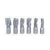 Accusize Industrial Tools 21 Pcs Hss Interchangeable Pilot Counterbore Set,