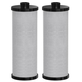 KW1 RV Water Filter – High-Capacity Replacement Compatible with WaterPur KW1a nd Neo-Pure NP-KW1 for Built-In RV Water Filtration Systems, 2-Pack