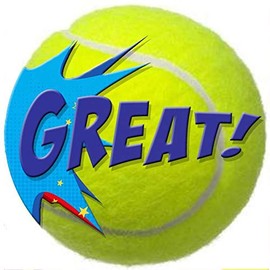 144 Tennis Praise Words 30 mm Reward Stickers for School Teachers, Parents