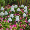 Solar Light String Waterproof Outdoor Garden Landscape Light 20LEDs 8