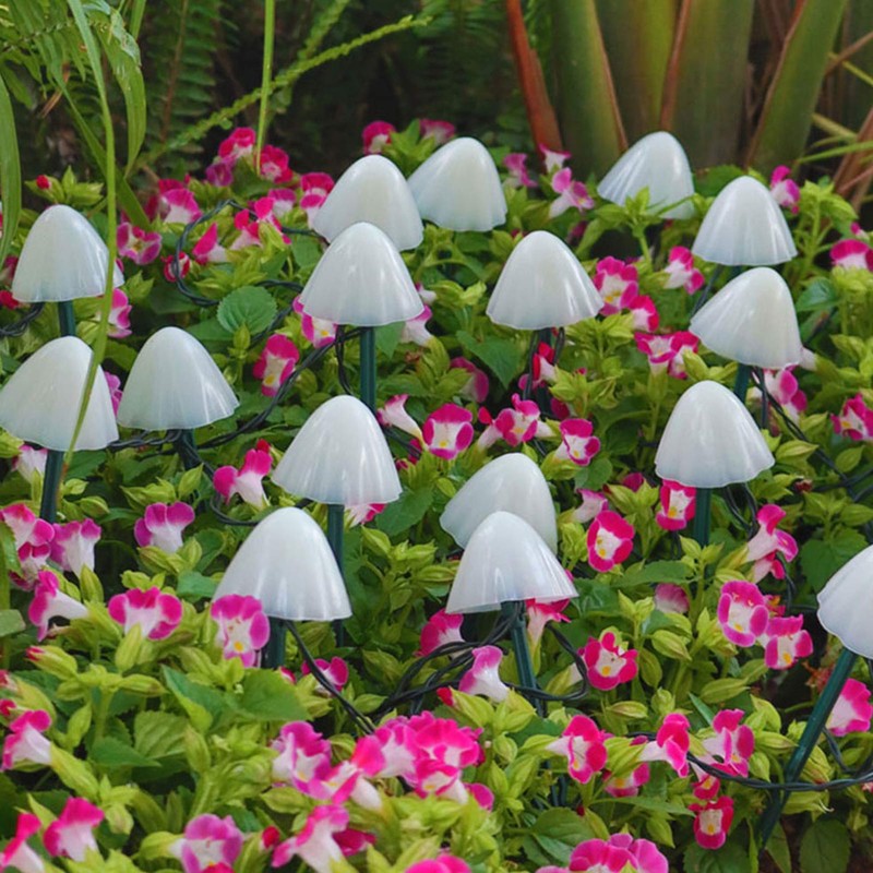 Solar Light String Waterproof Outdoor Garden Landscape Light 20LEDs 8