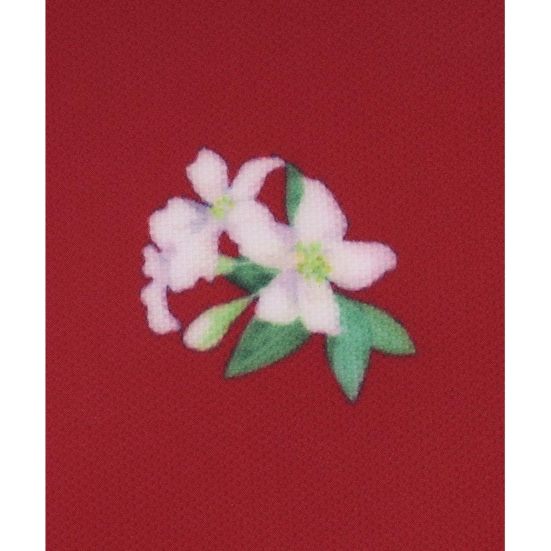 [ アフタヌーンティー リビング ] AfternoonTea LIVING ランチョンマット JN07 アップル ラミネートランチョンマット