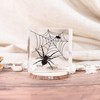 Taxidermy Spiders, 3pcs Real Insect Spider Specimens in Resin for