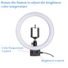 AW 8inch Dimmable LED Ring Light 5500K with Phone Holder
