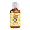 Deve Herbes Pure Curry Leaf (Patta) Essential Oil (Murraya koenigii)